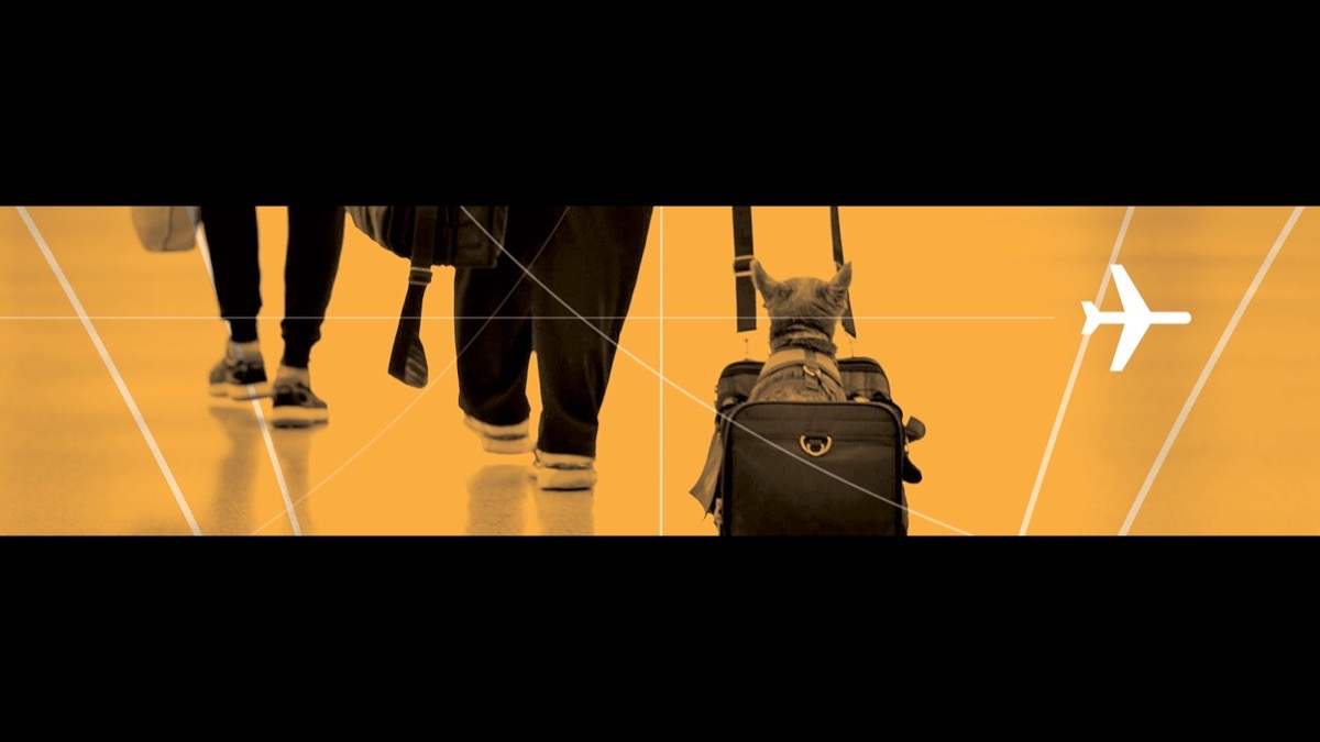 טלפון לטיול: רומינג, eSIM מקומי, מפות אופליין וביטחון